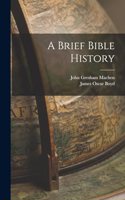 Brief Bible History