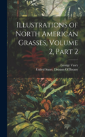 Illustrations of North American Grasses, Volume 2, part 2