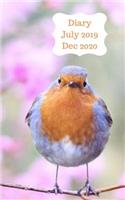 Diary July 2019 Dec 2020