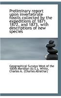 Preliminary Report Upon Invertebrate Fossils Collected by the Expeditions of 1871, 1872, and 1873, W