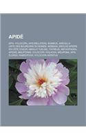 Apide: APIs, Xylocopa, APIs Mellifera, Bombus, Amegilla, Liste Des Bourdons Du Monde, Nomada, Enclos-Apiers En Cote D'Azur