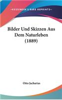 Bilder Und Skizzen Aus Dem Naturleben (1889)
