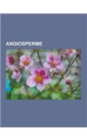 Angiosperme: Dicotiledoni, Monocotiledoni, Classificazione Apg II, Classificazione Apg III, Eudicotiledoni, Sistema Cronquist, Magn