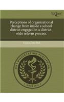 Perceptions of Organizational Change from Inside a School District Engaged in a District-Wide Reform Process
