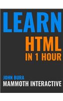 Learn HTML in 1 Hour