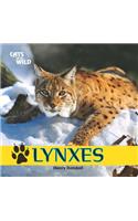 Lynxes: (Cats of the Wild)