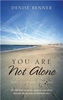 You Are Not Alone (Even if You Think You Are): A little book of stories, support, and advice through the journey of dementia care