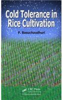 Cold Tolerance in Rice Cultivation