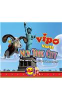 Vipo in New York