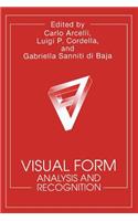 Visual Form: Analysis and Recognition