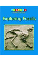 Exploring Fossils