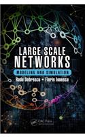 Large Scale Networks: Modeling and Simulation