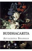 Buddhacarita