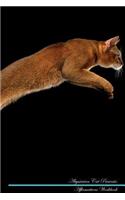 Abyssinian Cat Affirmations Workbook Abyssinian Cat Presents