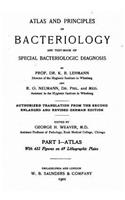 Atlas and Principles of Bacteriology