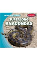 Superlong Anacondas: (Great Big Animals)
