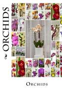 Orchids (Journal / Notebook)