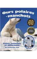 Ours Polaires Et Manchots