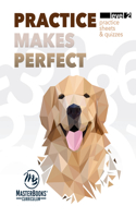 Practice Makes Perfect: Level 2