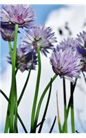 Chives Growing in the Garden Journal: Take Notes, Write Down Memories in this 150 Page Lined Journal