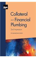 Collateral and Financial Plumbing