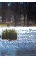 The View Across the Lake Notebook: 150 Lined Pages, Glossy Softcover, 6 X 9
