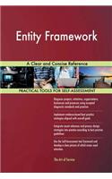 Entity Framework: A Clear and Concise Reference