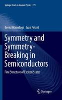 Symmetry and Symmetry-Breaking in Semiconductors