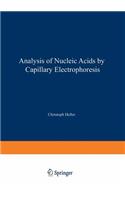 Analysis of Nucleic Acids by Capillary Electrophoresis