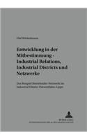 Entwicklung in der Mitbestimmung – Industrial Relations, Industrial Districts und Netzwerke