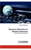 Resource Allocation in Wireless Networks
