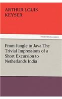 From Jungle to Java The Trivial Impressions of a Short Excursion to Netherlands India