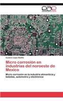 Micro corrosión en industrias del noroeste de Mexico