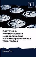 &#1050;&#1083;&#1077;&#1090;&#1086;&#1095;&#1085;&#1072;&#1103;, &#1084;&#1086;&#1083;&#1077;&#1082;&#1091;&#1083;&#1103;&#1088;&#1085;&#1072;&#1103; &#1080; &#1084;&#1077;&#1090;&#1072;&#1073;&#1086;&#1083;&#1080;&#1095;&#1077;&#1089;&#1082;&#1072