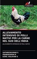 Allevamento Intensivo Di Polli Nativi Per La Carne Nel Sud Dell'india