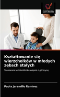 Ksztaltowanie się wierzcholków w mlodych zębach stalych