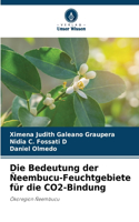 Bedeutung der Ñeembucu-Feuchtgebiete für die CO2-Bindung
