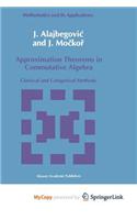 Approximation Theorems in Commutative Algebra