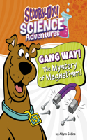 Gang Way! the Mystery of Magnetism!