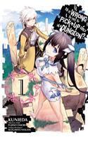 Is It Wrong To Try To Pick Up Girls In a Dungeon?, Vol. 1 (Manga)