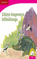 Litinyo lengwenya lelibuhlungu Litinyo lengwenya lelibuhlungu