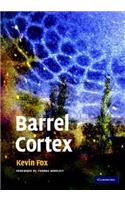 Barrel Cortex: (English)