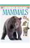 Pocket Guides: Mammals
