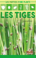 Les Tiges (Stems)