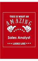 This is What an Amazing Sales Analyst Look Like
