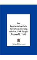 Die Landwirtschaftliche Betriebseinrichtung: In Lehre Und Beispiel Dargestellt (1906)