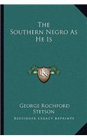 Southern Negro as He Is