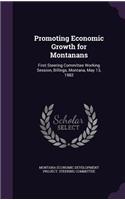 Promoting Economic Growth for Montanans