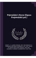 Prjevalsky's Horse (Equus Prejewalskii pol.)