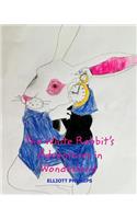 The White Rabbit's Adventures in Wonderland